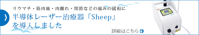 半導体レーザー治療器『Sheep』
